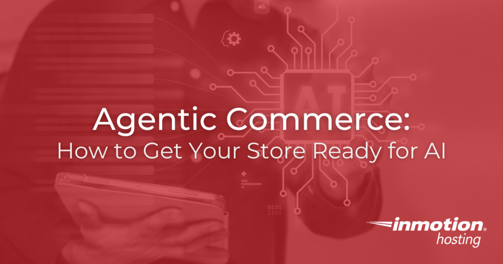 Agentic Commerce How to Get Your Store Ready for AI - Hero Image